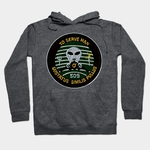 509th Bomb Wing Patch Hoodie by Spacestuffplus